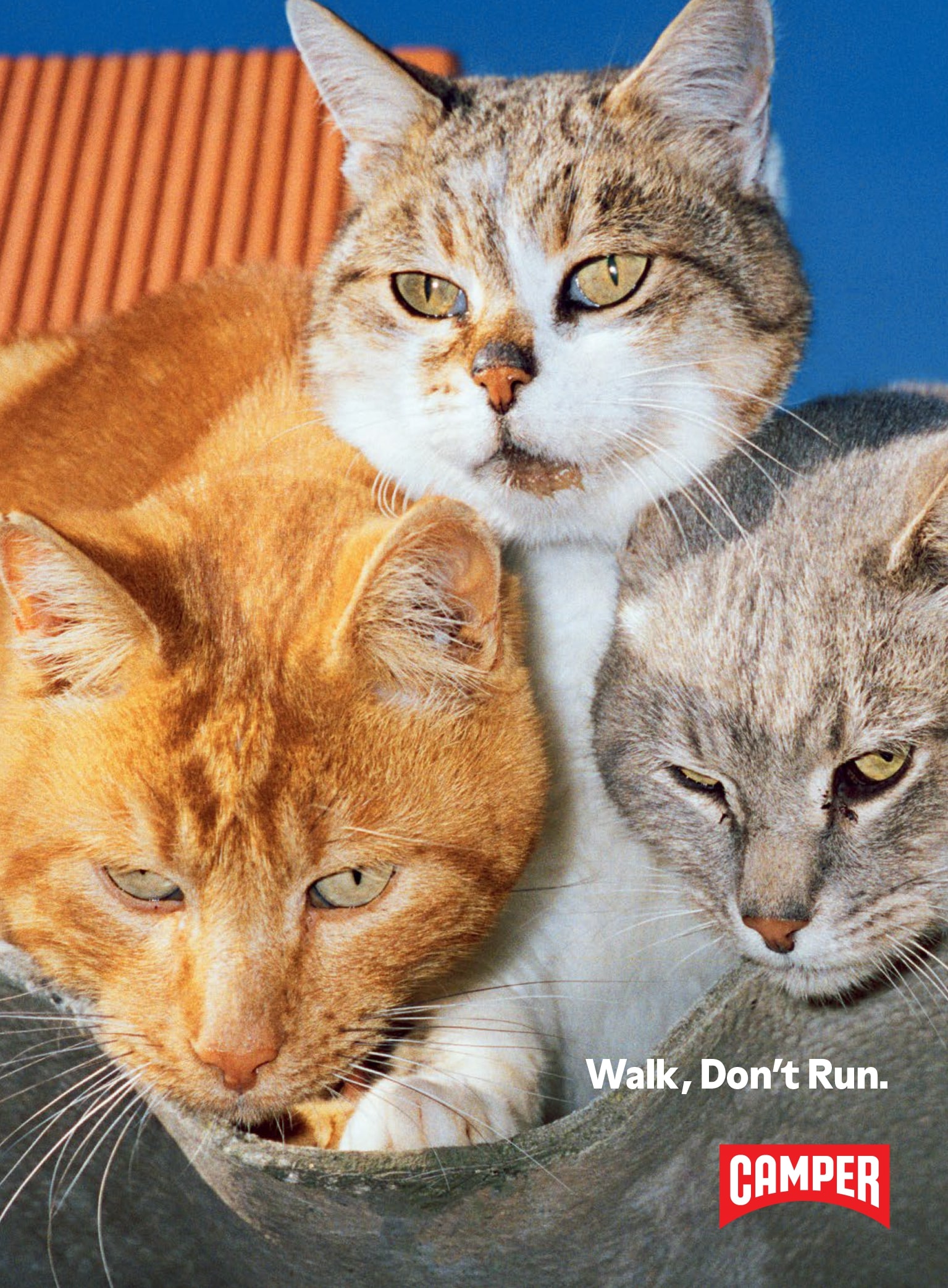 Camper, 50th Anniversary: Our Visual Language (Fig. 47)