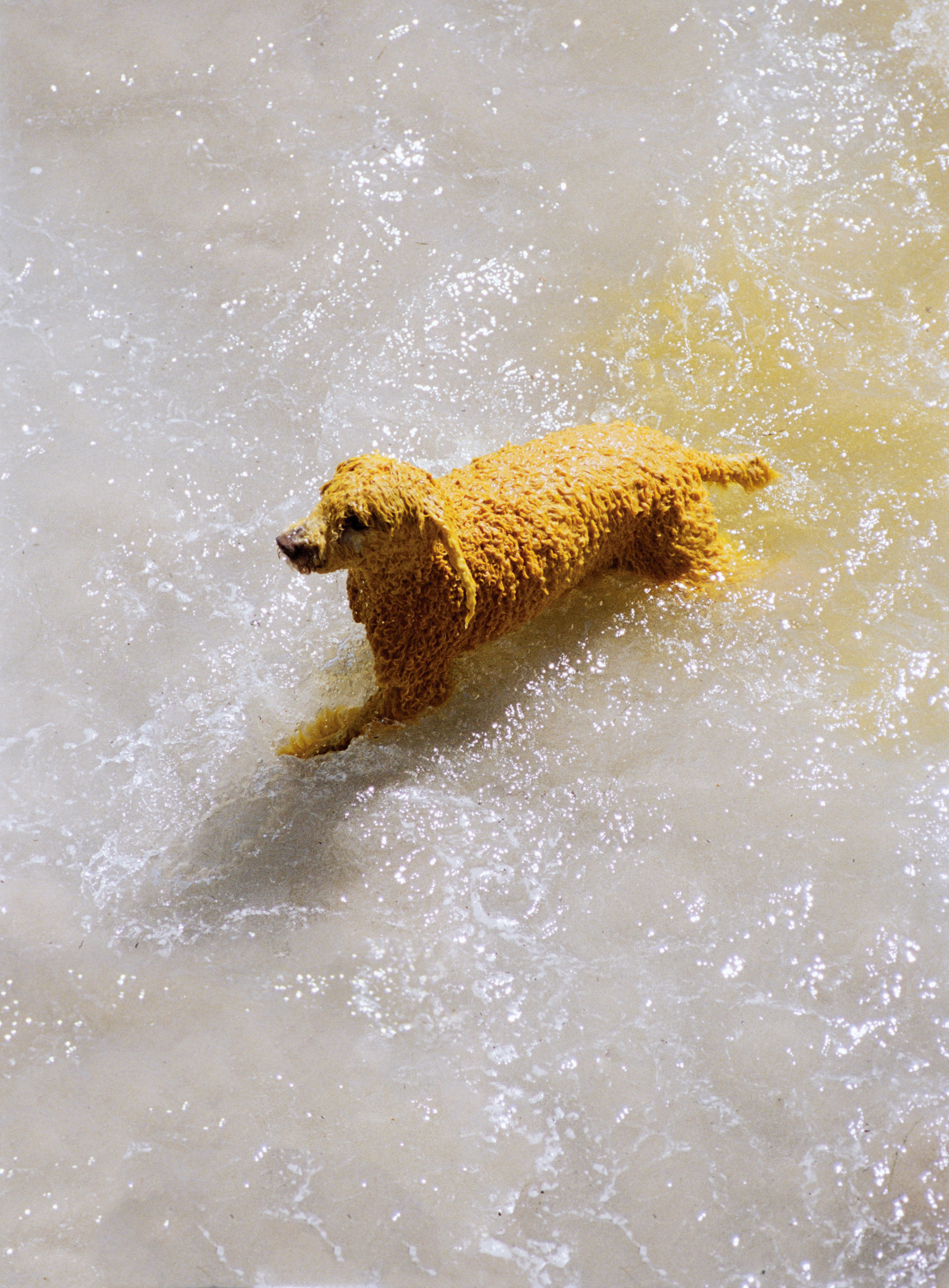 Camper, 50th Anniversary: We’re Shoemakers (Fig. 173)